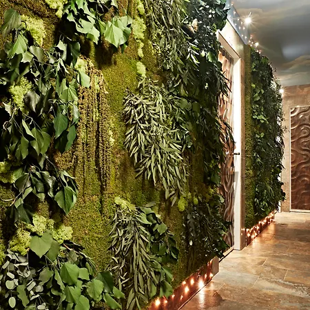 Le Reve De Naim Roma-3